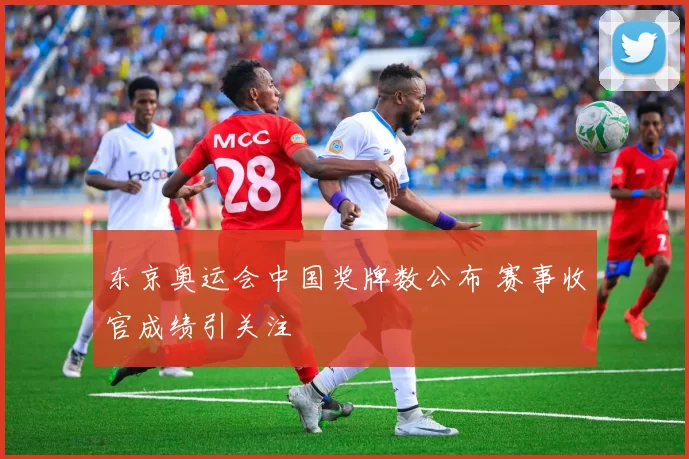 东京奥运会中国奖牌数公布 赛事收官成绩引关注