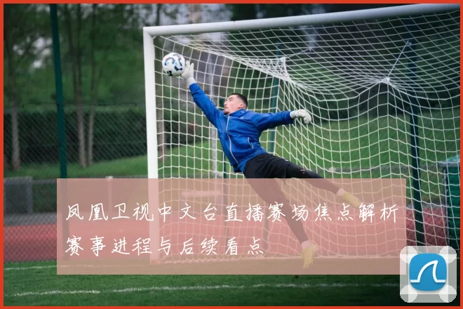 凤凰卫视中文台直播赛场焦点解析赛事进程与后续看点